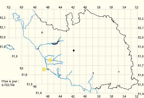 Orchidées. SFO de Poitou-Charentes et Vendée. Cartographie Vendée. Fiche cartographique Vendée. Serapias lingua..