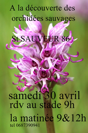 Sortie découverte des Orchidées de Sauveterre samedi 30 avril 2022