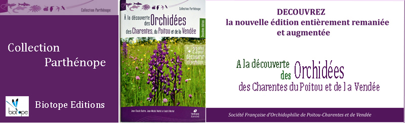 Nouvel ouvrage sur les Orchidées de Poitou-Charentes et Vendée entièrement remanié et augmenté
