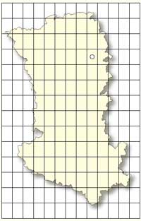 SFO Poitou-Charentes et Vendée. Cartographie Orchidées des Deux-Sèvres. Epipactis muelleri.