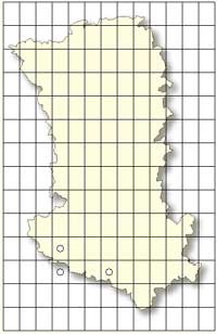 SFO Poitou-Charentes et Vendée. Cartographie Orchidées des Deux-Sèvres. Limodorum trabutianum