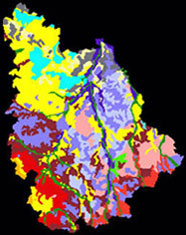 Cartographie des Orchidées du Poitou-Charentes et de la Vendée. Carte pédologique de la Vienne. SFO de Poitou-Charentes et Vendée.