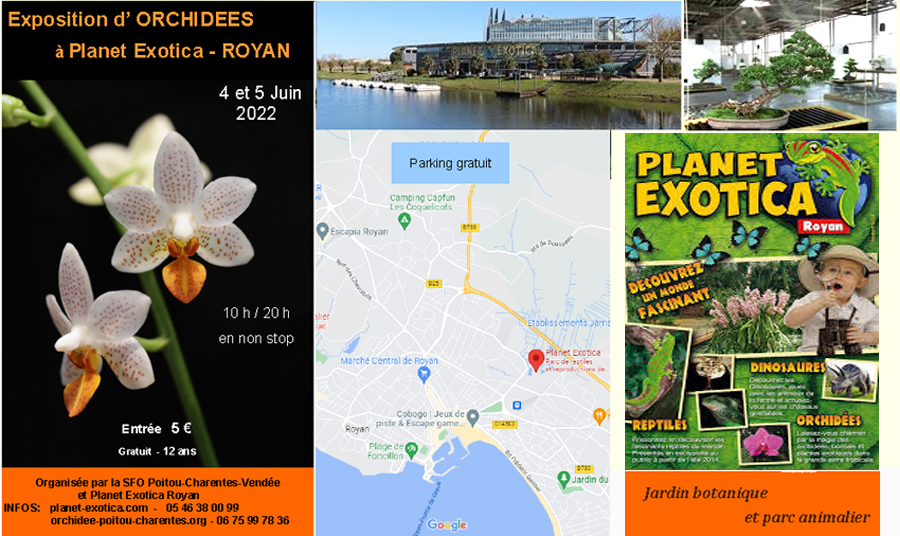 EXPOSITION INTERNATIONALE d'Orchidées à Planet Exotica 4 et 5 juin 2022