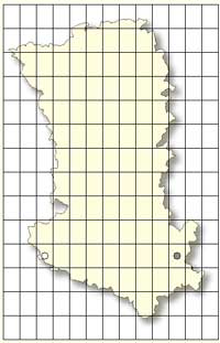 SFO Poitou-Charentes et Vendée. Cartographie Orchidées des Deux-Sèvres. Anacamptis palustris.
