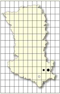SFO Poitou-Charentes et Vendée. Cartographie Orchidées des Deux-Sèvres. Dactylorhiza elata