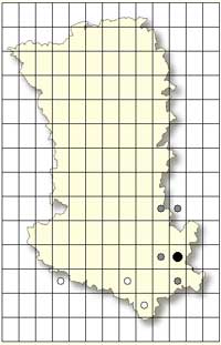 SFO Poitou-Charentes et Vendée. Cartographie Orchidées des Deux-Sèvres. Gymnadenia conopsea.