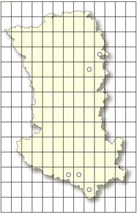 SFO Poitou-Charentes et Vendée. Cartographie Orchidées des Deux-Sèvres. Limodorum abortivum