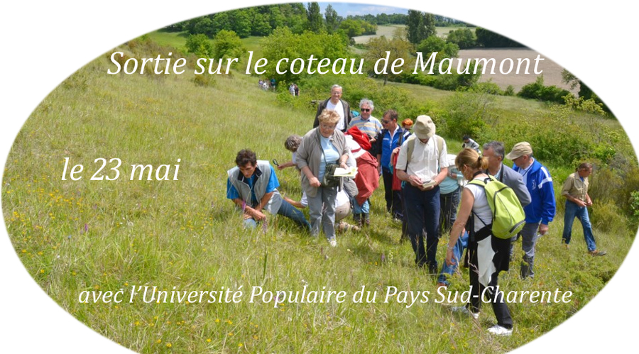 Randonnée orchidées Coteau de Maumont Le groupe de l'Université Populaire du Pays Sud-Charente