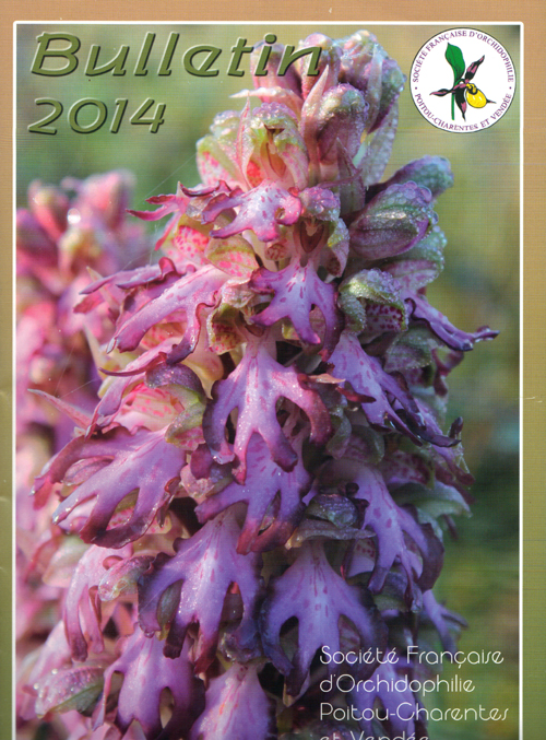 page de couverture du bulletin de la sfo Poitou-Charentes et de Vendée Himantoglossum robertianum 