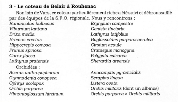 MICROSITES A ORCHIDEES - Le Coteau de Rouhenac Relevé botanique de la station de Rouhénac SFO PCV.