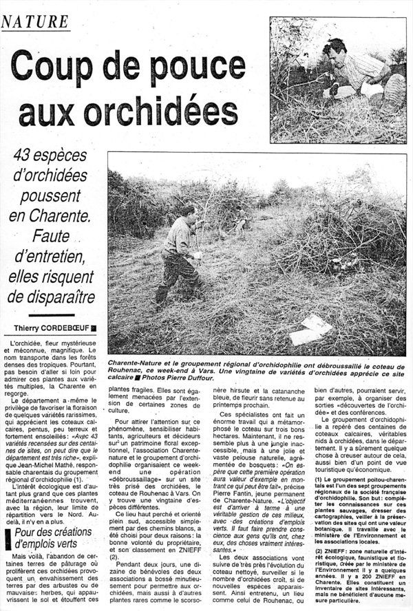 MICROSITES A ORCHIDEES - Le Coteau de Rouhenac article de presse charente libre coup de pouce aux orchidées.