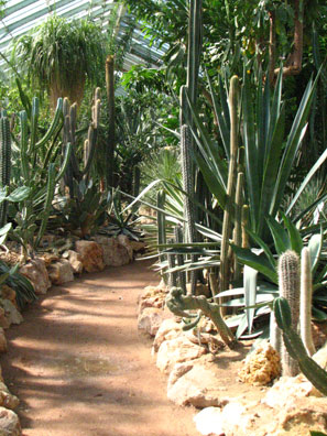 Hors Région Le jardin botanique du Parc de la Tête d'Or à Lyon La serre de Madagascar et des milieux arides SFO PCV 