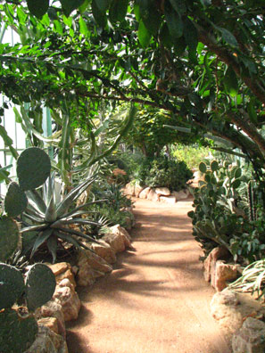Hors Région Le jardin botanique du Parc de la Tête d'Or à Lyon La serre de Madagascar et des milieux arides SFO PCV 