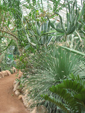 Hors Région Le jardin botanique du Parc de la Tête d'Or à Lyon La serre de Madagascar et des milieux arides SFO Poitou-Charentes et Vendée 