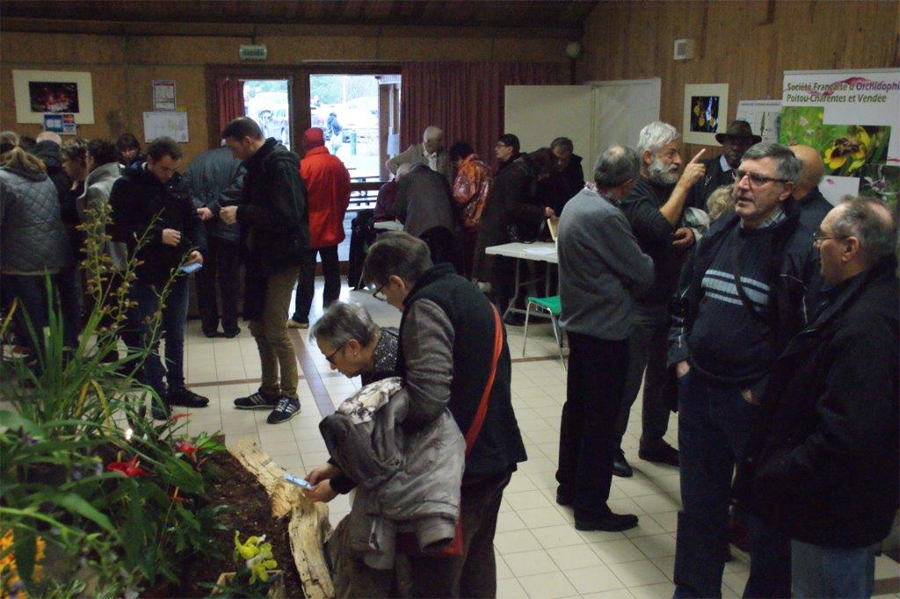 Salon des Orchidées exotiques de la SFO PCV à Montamisé