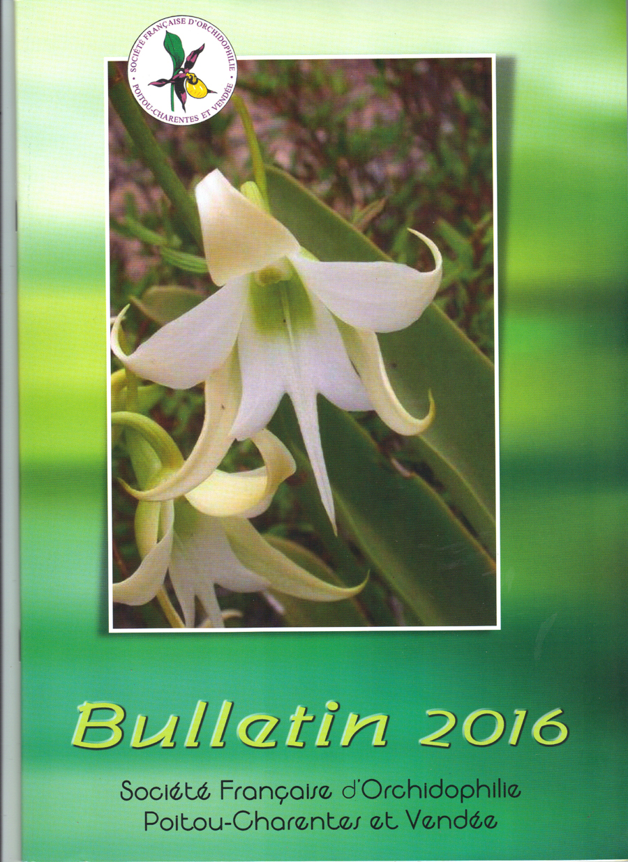 Bulletin SFO PCV Année 2016