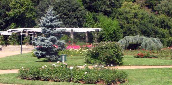 La nouvelle roseraie internationale Le jardin botanique du Parc de la Tête d'Or à Lyon SFO PCV 
