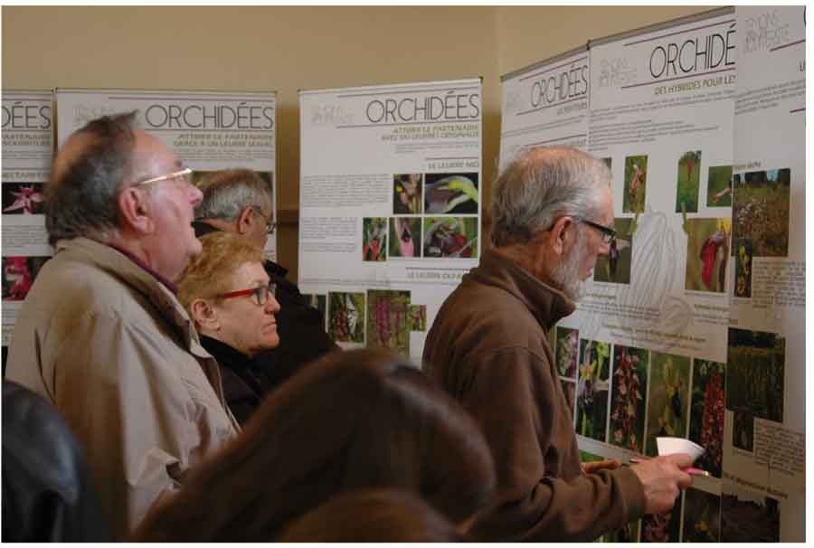 Le public face à l'expo "les Orchidées témoins de la biodiversité"