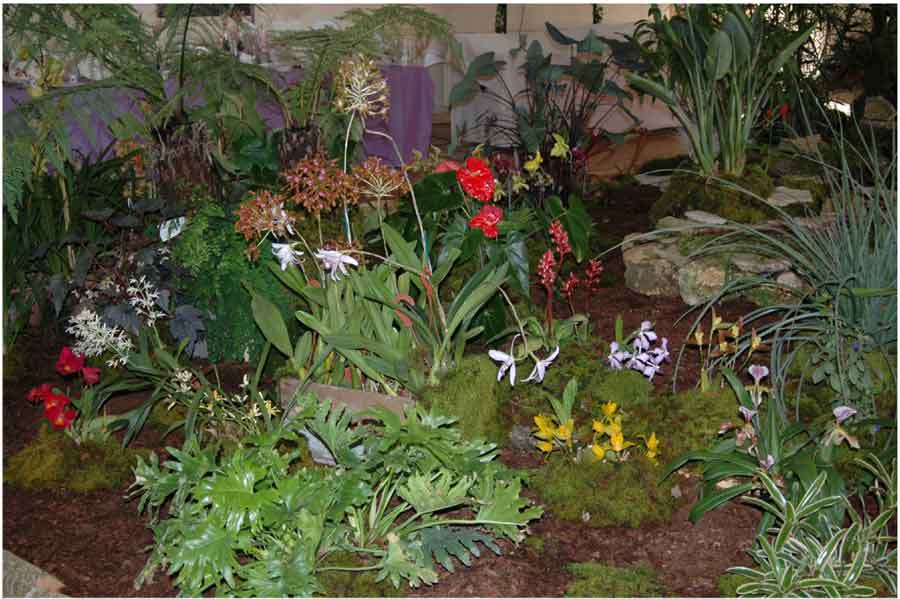 Un aperçu du décor floral de l'expo orchidées de Pons en Charente-Maritime