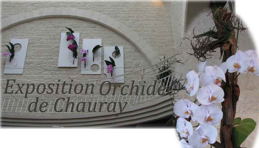 Temple de Chauray Sous la verrière. Compositions florales Floramy.