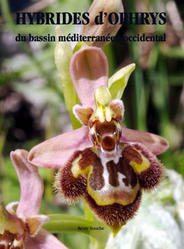 VIENT DE PARAÎTRE - Hybrides d'Ophrys du bassin méditerranéen occidental (Rémy SOUCHE) Documentation. SFO PCV Société Française d'Orchidophilie de Poitou-Charentes et Vendée. 