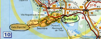 PORTUGAL - Orchidées de la région de Lisbonne. Carte Setubal. 