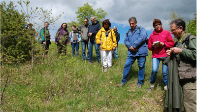 Sur le site natura 2000 du Bois Redon le groupe SFO PCV encadré par Poitou-Charente Nature et la SFO