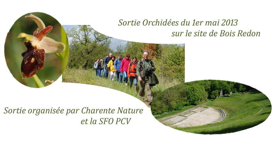 COMPTE-RENDU d'activités : Sortie Orchidées du 1er mai sur le site Natura 2000du Bois Redon - Les Bouchauds.