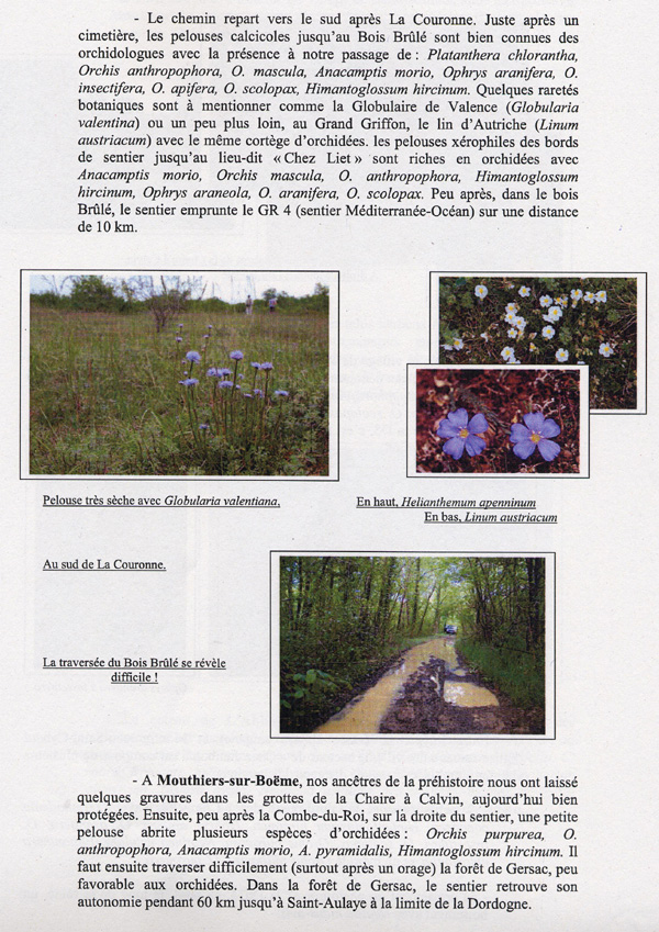 Microsites à Orchidées sur les chemins balisés de la Voie Turonienne (Via turonensis) des Chemins de Compostelle en Poitou-Charentes. - Page 7 du contrat d'objectifs avec la Région Poitou-Charentes. 3