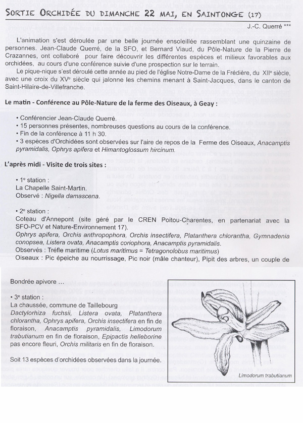 COMPTE - RENDU D'ACTIVITES - SORTIES DE PROSPECTION ET DE DECOUVERTE PRINTEMPS 2011 - Sortie orchidée du 22 mai en Saintonge, en Charente-Maritime (17)