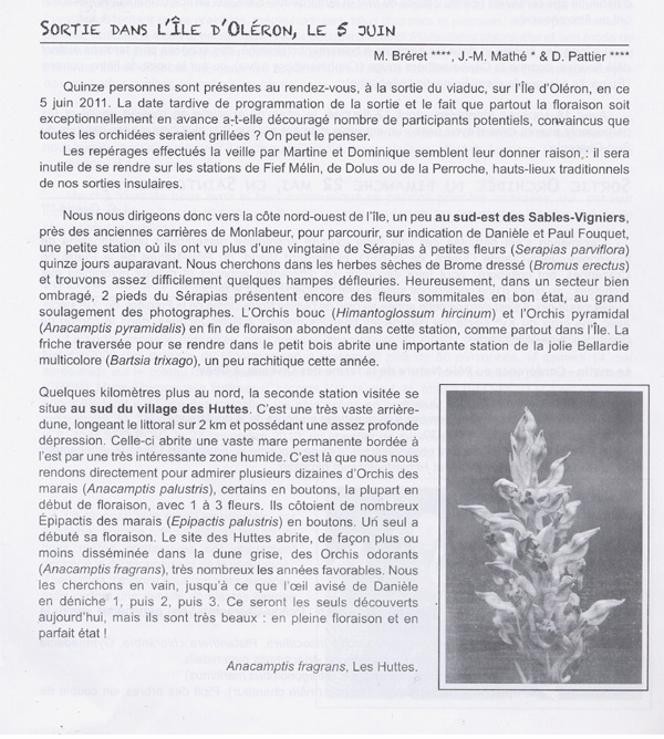 COMPTE - RENDU D'ACTIVITES - SORTIES DE PROSPECTION ET DE DECOUVERTE PRINTEMPS 2011 - Sortie orchidée dans l'Ile d'Oléron, en Charente-Maritime (17) le 5 juin.