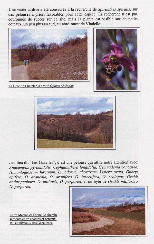 Microsites à Orchidées sur les chemins balisés de la Voie Turonienne (Via turonensis) des Chemins de Compostelle en Poitou-Charentes. La Charente 6