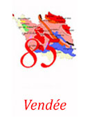 Accès direct à la Cartographie des Orchidées du département de la Vendée (85). Cliquer sur l'icône pour accéder à la cartographie.