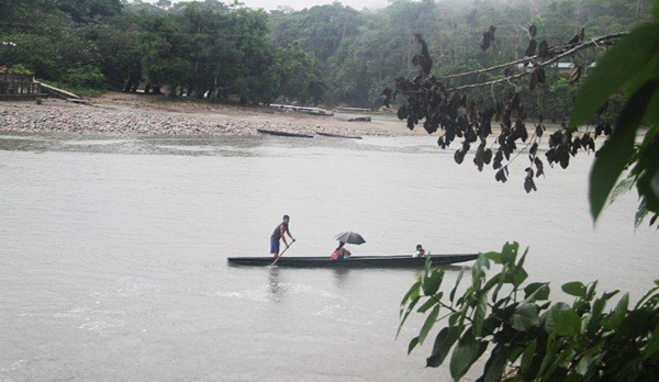 Rio Napo Misahua Entre Cordillère et Amazonie - L'Equateur - Par Jean-Claude Jude et Liliane & Henri Biron. (5)
