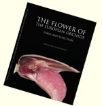 Orchidées d'Europe par Jean-Claessens et Jacques Kleynen. A paraître, début 2011.
