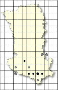 Ophrys scolopax Cartographie orchidées indigènes Deux Sèvres SFO PCV Société Française d'Orchidophilie de Poitou-Charentes et Vendée. 