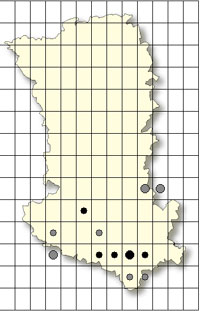 SFO Poitou-Charentes et Vendée. Cartographie Orchidées des Deux-Sèvres. Ophrys scolopax