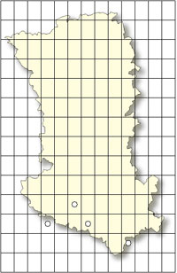 Ophrys argensonensis Cartographie orchidées indigènes Deux Sèvres SFO PCV Société Française d'Orchidophilie de Poitou-Charentes et Vendée. 