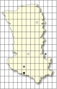 Ophrys passionis Cartographie orchidées indigènes Deux Sèvres SFO PCV Société Française d'Orchidophilie de Poitou-Charentes et Vendée. 