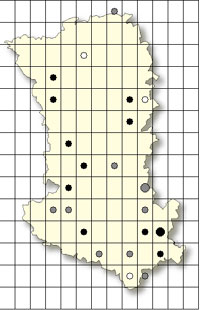 SFO Poitou-Charentes et Vendée. Cartographie Orchidées des Deux-Sèvres. Anacamptis laxiflora.