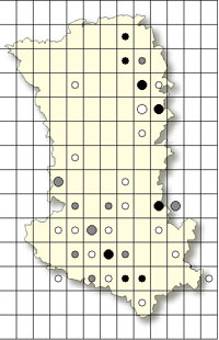 SFO Poitou-Charentes et Vendée. Cartographie Orchidées des Deux-Sèvres. Himantoglossum hircinum