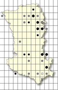 Anacamptis morio Cartographie orchidées indigènes Deux Sèvres SFO PCV Société Française d'Orchidophilie de Poitou-Charentes et Vendée. 