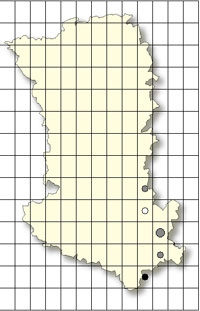 SFO Poitou-Charentes et Vendée. Cartographie Orchidées des Deux-Sèvres. Dactylorhiza viridis