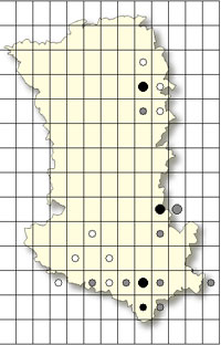 SFO Poitou-Charentes et Vendée. Cartographie Orchidées des Deux-Sèvres. Orchis anthropophora
