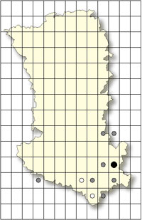 Gymnadenia conopsea Cartographie orchidées indigènes Deux Sèvres SFO PCV Société Française d'Orchidophilie de Poitou-Charentes et Vendée. 
