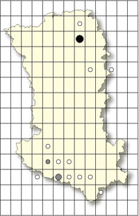 SFO Poitou-Charentes et Vendée. Cartographie Orchidées des Deux-Sèvres. Orchis purpurea