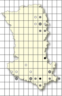 SFO Poitou-Charentes et Vendée. Cartographie Orchidées des Deux-Sèvres. Platanthera chlorantha