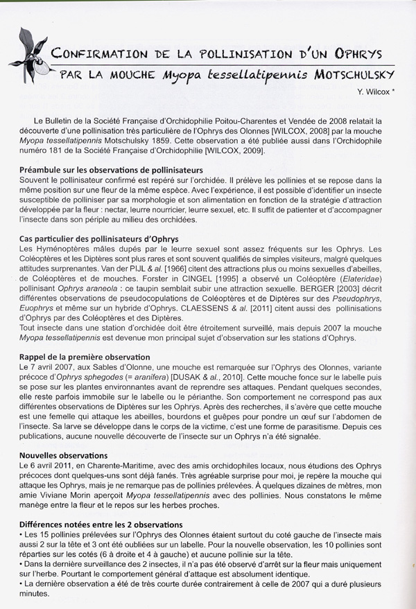 Page 1 POLLINISATION ET BIOLOGIE FLORALE - Confirmation de la pollinisation d'un Ophrys par la mouche Myopa tessalipennis MOTCHULSKY