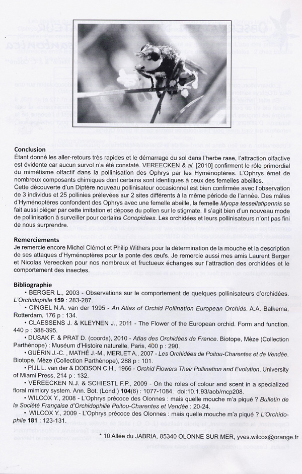 Page 2 POLLINISATION ET BIOLOGIE FLORALE - Confirmation de la pollinisation d'un Ophrys par la mouche Myopa tessalipennis MOTCHULSKY