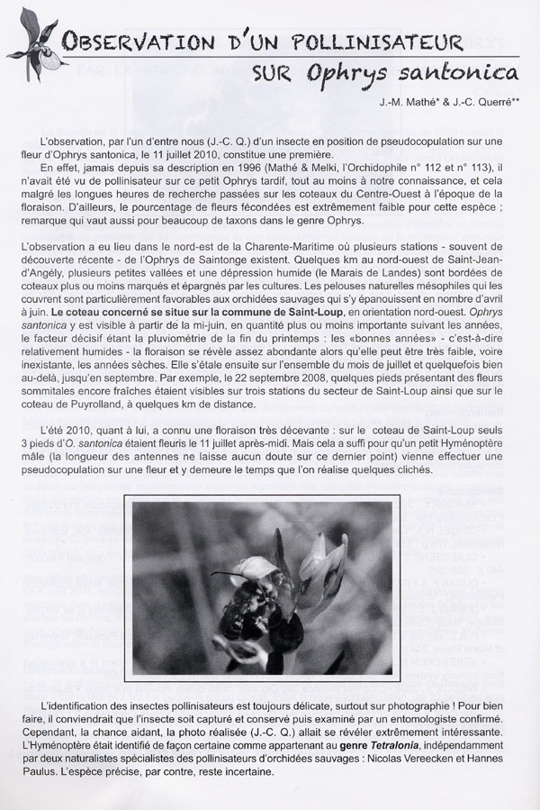 Page 1 POLLINISATION ET BIOLIGIE FLORALE - Observation d'un pollinisateur sur Ophrys santonica.
